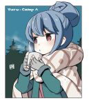  1girl bangs blue_hair border brown_scarf character_request coat copyright_request cup fingerless_gloves gloves green_coat grey_gloves hair_bun holding holding_cup long_sleeves mawaru_(mawaru) mug night night_sky outdoors purple_eyes scarf single_hair_bun sky solo tree upper_body white_border winter_uniform yurucamp 