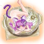  cure_macaron kirakira_precure_a_la_mode neko_nabe nekomaru_fubuki nude precure purple_theme you&#039;re_doing_it_wrong 