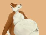  anthro belly big_belly brown_body brown_fur canid cheek_tuft closed_smile duo facial_tuft fur glistening glistening_eyes huge_belly looking_at_viewer male mammal mouth_closed paw_imprint roobin simple_background slight_smile solo_focus tuft vore white_body white_fur yellow_eyes 