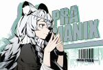  1girl animal_ear_fluff animal_ears arknights bangs barcode bracelet braid character_name circlet closed_mouth from_side grey_eyes grey_hair jacknavy jewelry leopard_ears long_hair long_sleeves own_hands_together pramanix_(arknights) profile smile solo turtleneck twin_braids upper_body very_long_hair 