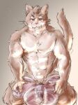  abs anthro blush demon domestic_cat felid feline felis foreskin genitals hi_res lifewonders male mammal muscular muscular_arms muscular_male nipples penetrable_sex_toy penetration penis retracted_foreskin sex_toy solo spread_legs spreading tokyo_afterschool_summoners yunu38 