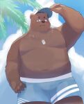  2023 absurd_res anthro bear belly big_belly blush bottomwear brown_body brown_fur clothing cloud detailed_background en_1_9 fur hat headgear headwear hi_res humanoid_hands kemono male mammal navel outside overweight overweight_male palm_tree plant shorts solo swimwear tree 