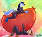  absurd_res anthro balloon balloon_fetish bulge canid canine canis clothing duo erection fetishbruary fox hi_res humping humping_object humping_toy inflatable latex latex_clothing male male/male mammal rubber rubber_clothing rubber_suit thatblackfox_(artist) wolf 