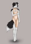  anthro border_collie brown_eyes canid canine canis clothed clothing collie crossdressing domestic_dog dress herding_dog hi_res looking_away male mammal pastoral_dog sheepdog simple_background solo squigor standing tagme 