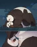  absurd_res anthro balls bear belly black_body blush blush_lines bodily_fluids breath cum daddy_kink dreamworks duo erection eyes_closed father father_and_child father_and_son father_penetrating_son fur genital_fluids genitals giant_panda hands_on_hips hi_res incest_(lore) kissing kung_fu_panda li_shan_(kung_fu_panda) male male/male male_penetrated male_penetrating male_penetrating_male mammal master_po_ping navel nude overweight overweight_male parent parent_and_child paws penetration penis quanjiang sex slightly_chubby son sucking sucking_penis sweat sweatdrop thick_thighs vein 