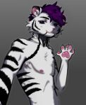  anthro chest_tuft felid feline fluffy fur hair looking_at_viewer male mammal moojuicers pantherine pawpads paws purple_eyes purple_hair raised_paw solo tiger tuft white_body white_fur 