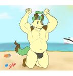  anthro beach belly big_belly bulge chubby_male clothing eeveelution furrz generation_4_pokemon hi_res leafeon letterbox looking_at_viewer male musclegut muscular muscular_male nintendo pokemon pokemon_(species) sea seaside smile smirk smirking_at_viewer solo solo_focus thong underwear water 