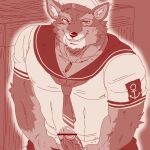  1:1 anthro blush canid canine canis censored domestic_dog erection genitals grin humanoid_genitalia humanoid_penis lifewonders live_a_hero looking_at_viewer male mammal muscular muscular_anthro muscular_male penis pubraseer run_aki sailor_hat sailor_uniform smile solo 