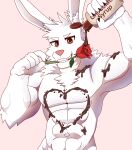  absurd_res anthro candy chocolate chocolate_syrup dessert flower food fur grin hi_res lagomorph leporid male mammal plant rabbit red_eyes rose_(flower) smile solo white_body white_fur 