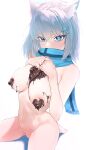  1girl absurdres animal_ear_fluff animal_ears bangs barefoot black_scarf blue_archive blue_eyes blue_scarf blush breasts chocolate chocolate_on_body chocolate_on_breasts commentary_request covered_mouth food food_on_body grey_hair hair_ornament halo highres kazane-wind looking_at_viewer medium_breasts medium_hair melting mismatched_pupils naked_scarf navel nude pussy scarf scarf_over_mouth shiroko_(blue_archive) simple_background sitting solo stomach sweatdrop tail valentine wariza white_background 