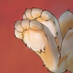 1:1 ambiguous_gender feet foot_focus foot_shot fur glistening glistening_body grey_body grey_fur hindpaw lagomorph leporid mammal paws pawsitively rabbit raised_paw red_background simple_background solo tufted_fur 