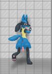  anthro anus generation_4_pokemon genitals hi_res lucario male nintendo penis pokemon pokemon_(species) simple_background solo wet 