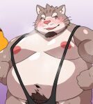  12beat13 2023 belly big_belly blush domestic_cat felid feline felis lifewonders male mammal mankini moobs navel nipples obese obese_male overweight overweight_male sitri tokyo_afterschool_summoners 