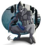  absurd_res alien anthro blue_penis bodily_fluids crouching genitals gym hi_res inviting male mass_effect neonyx penis presenting sweat sweatdrop turian 