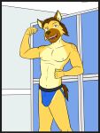  anthro athletic bulge clothed clothing facial_hair flexing_bicep fuze fuzeyeen hi_res hyena jockstrap jockstrap_only male mammal mustache navel nipples solo spotted_hyena stubble topless underwear underwear_only 
