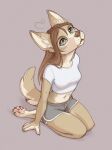  2023 absurd_res anthro bottomwear breasts brown_hair canid canine canis clothed clothing crop_top digital_media_(artwork) domestic_dog female fully_clothed fur hair hi_res mammal midriff pawpads pink_pawpads shirt shorts solo tan_body tan_fur topwear yshanii 