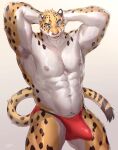  anthro armpit_hair blep blue_eyes body_hair bulge cheetah chest_hair clothed clothing erection erection_under_clothing felid feline fur genital_outline hands_behind_head happy_trail hi_res male mammal muscular muscular_anthro muscular_male nipples solo spots spotted_body taki_kaze tongue tongue_out underwear white_body white_fur yellow_body yellow_fur 