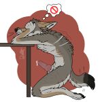  alpha_channel anatomically_correct animal_genitalia anthro black_pawpads blep brown_body brown_fur cackling-beast canid canine canine_genitalia canis colored_line_art covering covering_eyes covering_face coyote daydream_(cackling-beast) ears_back embarrassed fur fur_tuft furniture genitals grey_body grey_fur hi_res kneeling leaning_on_table male mammal muzzle_scabs pawpads pivoted_ears scar simple_background solo solo_focus table tail tail_motion tailwag tan_body tan_fur thought_bubble tongue tongue_out trans_(lore) trans_man_(lore) transparent_background tuft watermark 