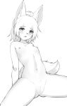  ahoge anthro blush canid canine female genitals hair kemono kida_kuro_mu leonor_(kida_kuro_mu) line_art looking_at_viewer mammal monochrome navel nipples nude pussy simple_background sketch solo spread_legs spreading teenager white_background young 