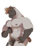  anthro atroquine big_pecs big_penis brown_hair equid equine fur genitals grey_body grey_fur hair hi_res horse looking_at_object looking_at_phone male mammal muscular muscular_anthro muscular_male nipples pecs penis simple_background solo vein veiny_penis 