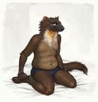  2019 anthro bed belly briefs briefs_only brown_body brown_fur cettus clothed clothing fur furniture gulonine hi_res kneeling male mammal marten mustelid musteline pine_marten simple_background sitting slightly_chubby slightly_chubby_anthro slightly_chubby_male smile solo topless underwear underwear_only 