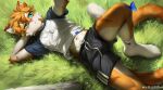  2023 absurd_res anthro bottomwear clothing domestic_cat felid feline felis footwear fur grass guaishoudm1 hi_res looking_up lying male mammal nike on_back orange_body orange_fur plant shirt shorts socks solo t-shirt topwear weibo white_body white_fur 