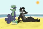  absurd_res anthro beach canid canine canis domestic_dog duo genitals hi_res lextoondog_(character) male male/male mammal nude penis radio rasik seaside sitting timmy_(rasik) wolf 