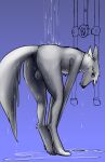  absurd_res anthro balls bathing butt canid canine genitals hi_res lance_(sonic10175) male mammal presenting presenting_hindquarters shaded shower showering simple_background solo topazknight wet zef 