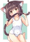  1girl absurdres ahoge animal_ear_fluff animal_ears aqua_background bangs bare_arms bare_legs bare_shoulders barefoot biting blush brown_eyes brown_hair cat_ears cat_girl cat_tail collarbone commentary_request covered_navel hair_between_eyes head_tilt highres looking_at_viewer manabe_mana old_school_swimsuit one-piece_swimsuit original school_swimsuit sitting soles solo swimsuit tail tail_biting tail_grab thigh_gap two-tone_background wariza white_background white_one-piece_swimsuit 