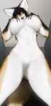  2023 anthro areola arm_tuft big_breasts big_ears biped black_body black_ears black_fur black_hair black_nose black_pupils breasts butt_from_the_front canid canine chromatic_aberration colored countershade_arms countershade_face countershade_fur countershade_hands countershade_legs countershade_torso countershading digital_media_(artwork) elbow_tuft eyelashes fangs featureless_crotch female fingers fox front_view fur gloves_(marking) hair hand_on_breast hi_res holding_breast huge_breasts humanoid_hands inner_ear_fluff inside kemono looking_at_viewer low-angle_view mammal markings mayo_the_fox monotone_ears monotone_hair multi_tone_fur multicolored_body multicolored_fur navel nipples nude open_mouth open_smile pink_areola pink_nipples portrait pupils shaded sharp_teeth slit_pupils smile solo standing teeth three-quarter_portrait tongue tuft white_body white_countershading white_fur white_inner_ear white_inner_ear_fluff yellow_body yellow_eyes yellow_fur 