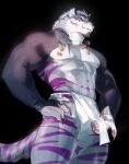  anthro areola biped bulge claws countershade_fur countershade_torso countershading felid fur hi_res maiyabuhantang male mammal muscular muscular_anthro muscular_male nipples pantherine pawpads pecs sadiend solo striped_body striped_fur stripes tail tiger 