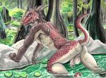  anthro argonian athletic athletic_male balls barefoot bethesda_softworks casual_nudity detailed_background feet flaccid genitals looking_at_viewer male manly nature nude outside penis presenting red_body red_scales scales scalie solo solo_focus tabaxitaxi the_elder_scrolls water 