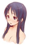  akiyama_mio bad_id bad_pixiv_id breasts face ha-ru k-on! large_breasts nude sketch solo 