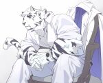  1boy animal_ears arknights bara collared_jacket collared_shirt facial_hair feet_out_of_frame fluffy formal furry furry_male goatee highres interlocked_fingers jacket jacket_removed ju_neng_binggui looking_to_the_side male_focus mountain_(arknights) muscular muscular_male on_chair own_hands_together partially_unbuttoned pectoral_cleavage pectorals scar scar_across_eye scar_on_face shirt short_hair sitting sleeves_rolled_up solo suit tail_raised thick_eyebrows tiger_boy tiger_ears watch white_fur white_hair white_suit wristwatch 