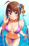  1girl antenna_hair bangs bare_arms bare_shoulders bikini blush breasts brown_eyes cleavage collarbone hair_ornament hair_scrunchie highres idolmaster idolmaster_million_live! karua_(karua23) large_breasts looking_at_viewer one_side_up open_mouth pool_ladder purple_bikini purple_eyes scrunchie side-tie_bikini_bottom solo swimsuit thigh_gap wading water yokoyama_nao 