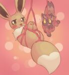  bdsm bondage bound brown_body brown_fur duo eevee female feral fur generation_1_pokemon generation_3_pokemon genitals hi_res labbit1337 male nintendo open_mouth open_smile pokemon pokemon_(species) poochyena pussy restraints rope rope_bondage smile 