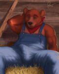  2023 anthro bear black_nose brown_body bulge clothed clothing detailed_background erection erection_under_clothing hi_res little_bear male mammal overalls rov sitting solo uncle_rusty_(little_bear) 