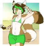  2018 5_fingers alpha_channel anthro beach bikini biped border clothed clothing countershade_fur countershade_torso countershading crossdressing digital_media_(artwork) eyebrow_through_hair eyebrows fingers fur green_bikini green_bikini_top green_clothing green_eyes green_nose green_swimming_trunks green_swimwear hair hi_res kale_tibolt_(s0uthw3st) looking_at_viewer male mammal markings navel outside portrait sand sea seaside sky solo standing striped_markings striped_tail stripes swimming_trunks swimwear tail tail_markings three-quarter_portrait translucent translucent_hair transparent_border water zyira 