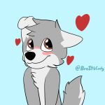  &lt;3 1:1 2020 anthro black_nose blue_background blush broitscody brown_eyes canid canine canis chest_tuft cody_(broitscody) floppy_ears fur grey_body grey_fur grey_hair grey_tail hair hi_res male mammal monotone_ears monotone_hair multicolored_body multicolored_fur simple_background solo tail tuft two_tone_body two_tone_fur two_tone_tail watermark white_body white_ears white_fur white_tail wolf 