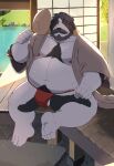  2023 anthro asian_clothing beard belly big_belly black_body blush bodily_fluids canid canine canis clothing detailed_background do domestic_dog east_asian_clothing facial_hair fundoshi hi_res japanese_clothing kemono male mammal moobs mustache nipples overweight overweight_male red_clothing red_fundoshi red_underwear sitting solo sweat underwear white_body whitebeast20 