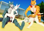  3d_(artwork) anal anal_penetration anthro anthro_on_anthro balls beastars bill_(beastars) bovid breasts canid canine canis caprine dall_sheep digital_media_(artwork) domestic_rabbit dwarf_rabbit erection felid female female_penetrated fur genitals haru_(beastars) horn interspecies lagomorph legoshi_(beastars) leporid male male/female male/male male_penetrated male_penetrating male_penetrating_female male_penetrating_male malicekira mammal mmd muscular nipples nude oryctolagus pantherine penetration penile penis pina_(beastars) predator/prey predator_penetrating predator_penetrating_prey prey_penetrated rabbit sex sheep size_difference stripes tiger vaginal white_body white_fur wolf 