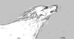  ambiguous_gender canid cheek_tuft ears_back facial_tuft feral head_tuft mammal monochrome narrowed_eyes neck_tuft pivoted_ears sharp_teeth side_view signature solo teeth tuft unknowhiter 