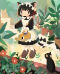  1girl animal animal_ear_fluff animal_ears apron bangs black_cat black_dress black_eyes black_hair brown_footwear cat cat_ears cat_girl cat_tail closed_mouth commission day dress flower frilled_apron frills full_body holding holding_watering_can light_blush long_sleeves looking_at_viewer maid maid_apron maid_headdress original outdoors pinpon_sakana plant potted_plant red_flower shoes short_hair skeb_commission socks solo standing tail tareme watering_can white_apron white_socks 
