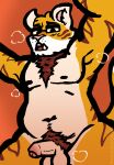  animaanimals anthro blush body_hair chest_hair chubby_anthro eyewear felid genitals glasses hi_res low-angle_view male mammal pantherine penis pubes sketch solo striped_body stripes tiger 