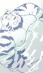  2023 anthro belly big_belly dain_4201 eyes_closed felid hi_res kemono male mammal moobs nipples overweight overweight_male pantherine solo tiger 