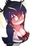  1girl bangs black_hair blonde_hair blush breasts commentary downblouse drawstring hair_between_eyes headphones highres hood hood_down hoodie kemono_friends looking_at_viewer masuyama_ryou medium_breasts multicolored_hair nipples no_bra penguin_tail red_eyes red_hair rockhopper_penguin_(kemono_friends) short_hair simple_background sketch solo tail twintails v-shaped_eyebrows wavy_mouth white_background 