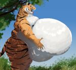  absurd_res anthro belly belly_grab belly_overhang big_belly black_stripes blue_sky breath feedtheboss felid fur hand_on_stomach hands_on_belly hi_res holding_stomach hyper hyper_belly looking_at_belly looking_down looking_down_at_self male mammal morbidly_obese morbidly_obese_anthro morbidly_obese_male obese obese_anthro obese_male open_mouth orange_body orange_fur outside overweight overweight_anthro overweight_male pantherine panting pink_tongue plant sharp_teeth sky solo stripes teeth tiger tongue tongue_out tree white_belly 