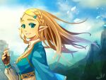  1girl bangs blonde_hair blue_eyes braid breasts colornix fingerless_gloves forehead french_braid from_side gloves hair_ornament hairclip long_hair looking_at_viewer parted_bangs pointy_ears princess_zelda sidelocks small_breasts smile solo the_legend_of_zelda the_legend_of_zelda:_breath_of_the_wild thick_eyebrows wind wind_lift 