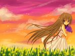  kazeto_amane summer_dress tagme wallpaper 