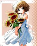  absurdres aoki_ume bare_arms blush brown_eyes brown_hair dress flower hair_ornament hairclip halftone halftone_background hidamari_sketch highres looking_at_viewer official_art pink_background scan short_hair sleeveless sleeveless_dress smile solo sundress sunflower v_arms x_hair_ornament yuno 